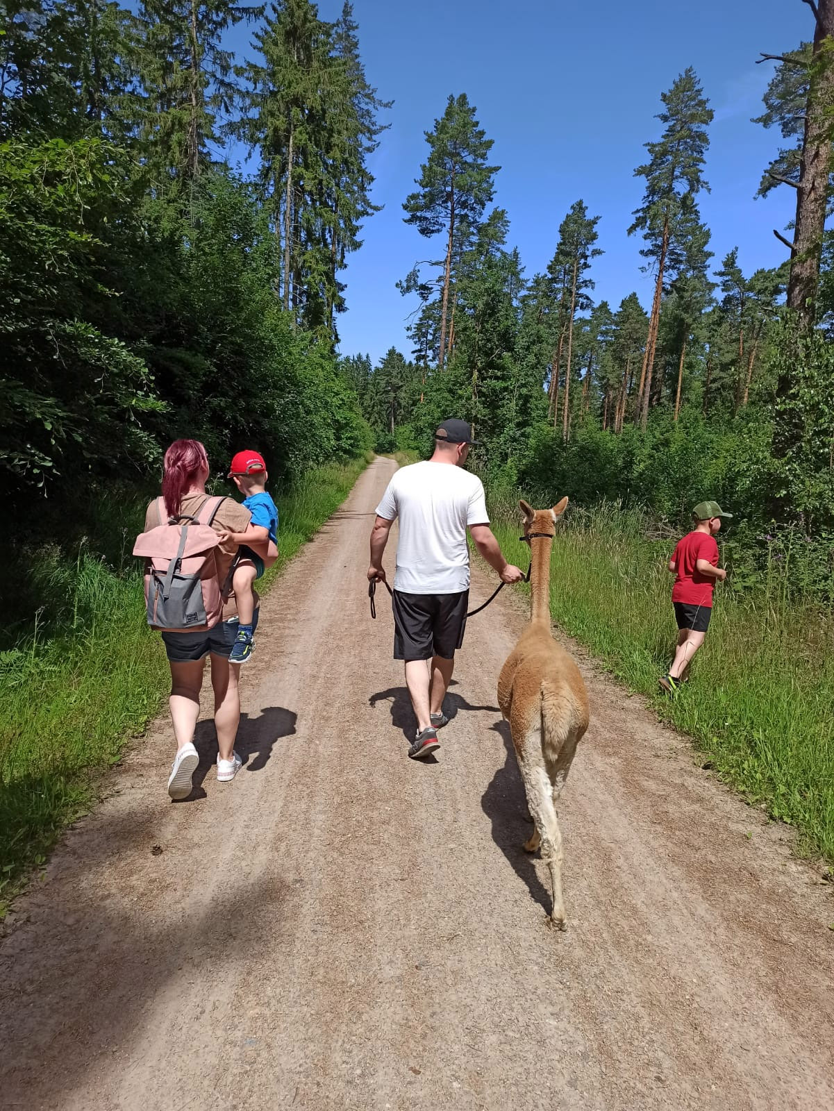 spaziergang